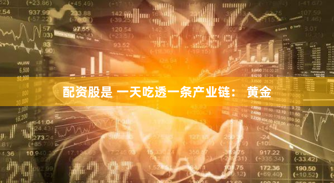 嘉禾配资软件
