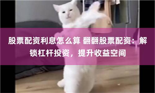 《大牛配资下载》：当金融杠杆遇上数字狂欢，我们真的准备好了吗？