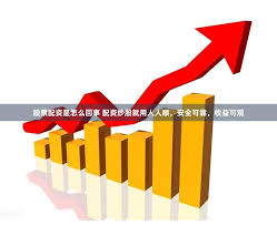 杠杆游戏下的众生相：一位配资客的浮沉启示录